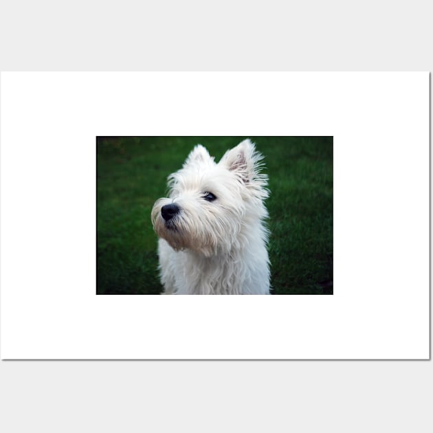 Westie Wall Art by princess-pirate